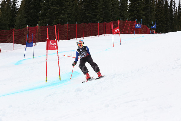 NGF2019Saturday bibs 241-260-202