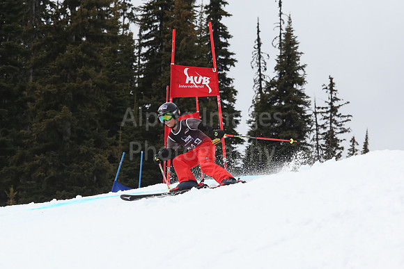 NGF2019Saturday bibs 241-260-211