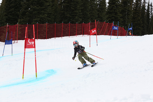 NGF2019Saturday bibs 241-260-230