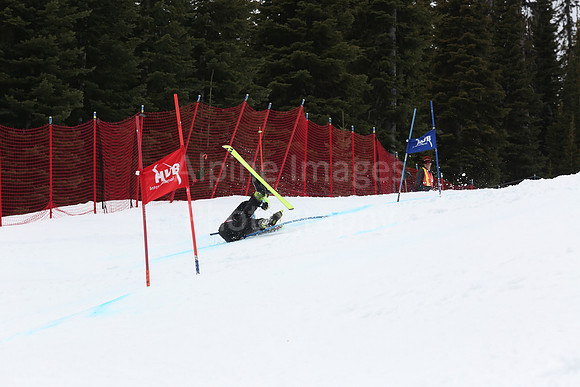 NGF2019Saturday bibs 241-260-241