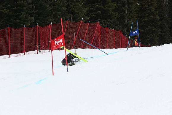 NGF2019Saturday bibs 241-260-242