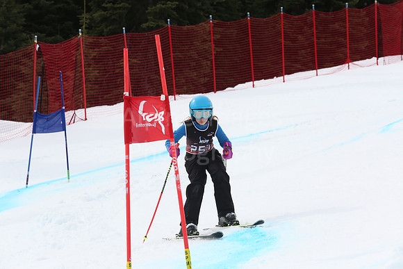 NGF2019Saturday bibs 241-260-259