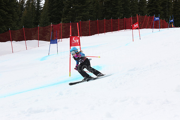NGF2019Saturday bibs 241-260-260