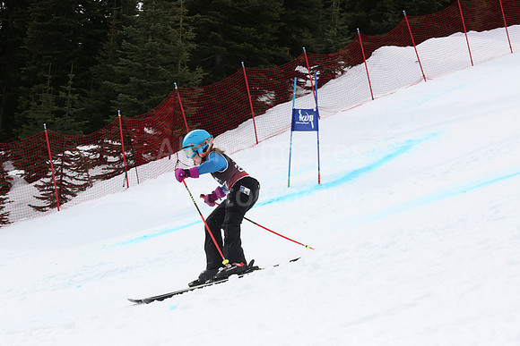 NGF2019Saturday bibs 241-260-263
