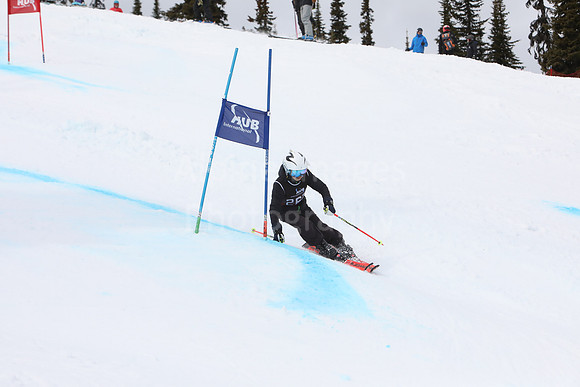 NGF2019Saturday bibs 261-280-14