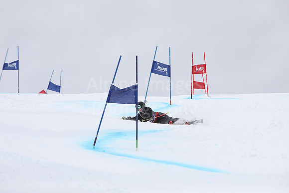 NGF2019Saturday bibs 261-280-24