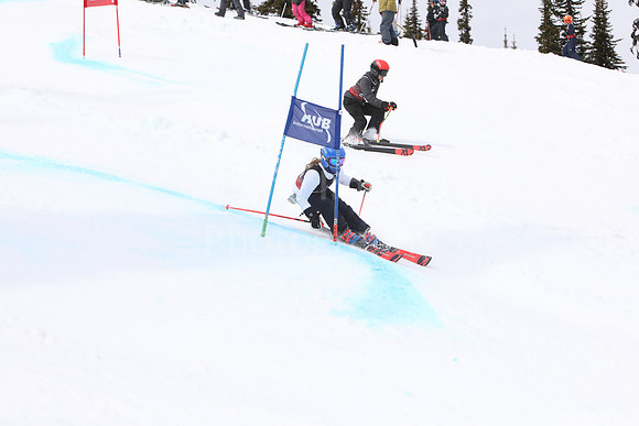 NGF2019Saturday bibs 261-280-144