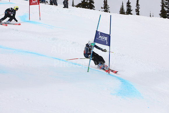 NGF2019Saturday bibs 281-300-54