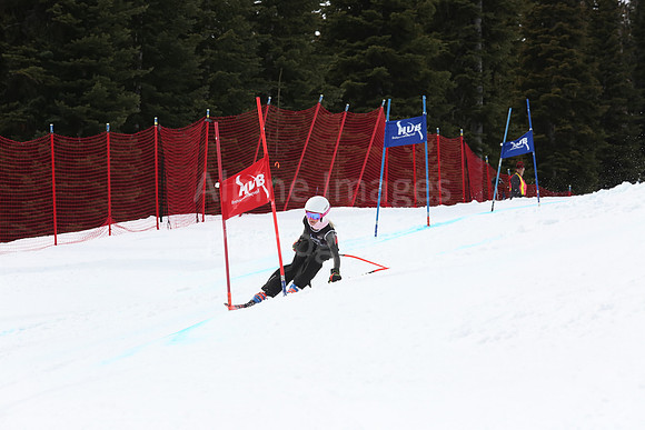 NGF2019Saturday bibs 281-300-182