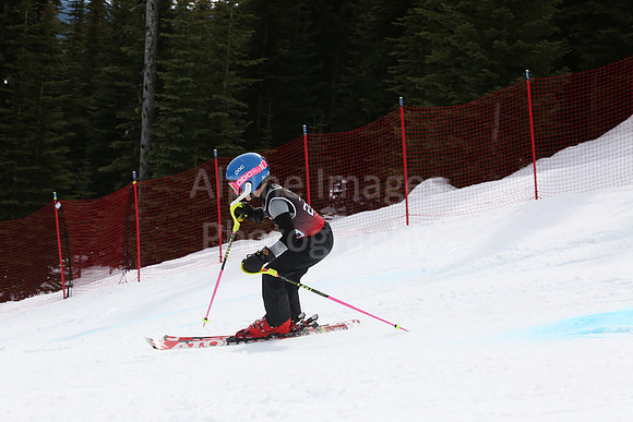 NGF2019Saturday bibs 281-300-294