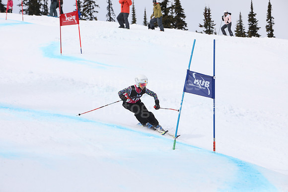 NGF2019Saturday bibs 321+-12