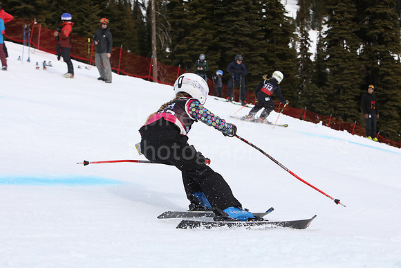 NGF2019Saturday bibs 321+-21