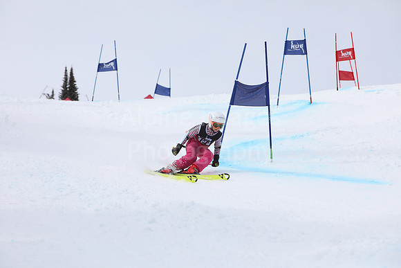 NGF2019Saturday bibs 321+-26