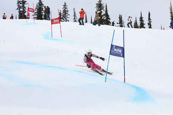NGF2019Saturday bibs 321+-30