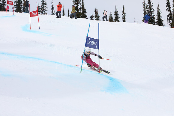 NGF2019Saturday bibs 321+-31