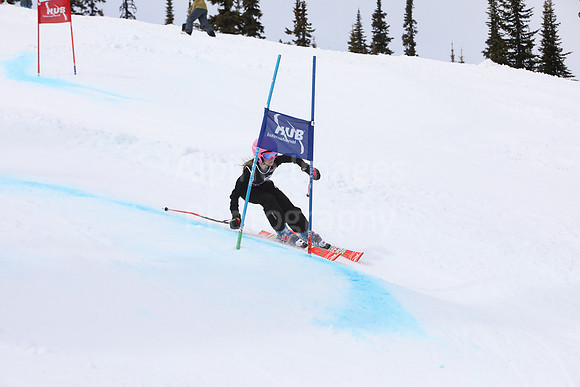 NGF2019Saturday bibs 321+-86