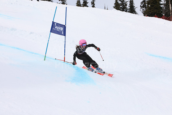 NGF2019Saturday bibs 321+-87