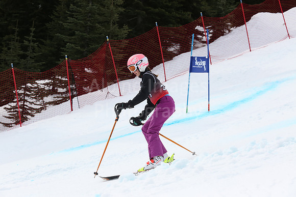 NGF2019Saturday bibs 321+-137
