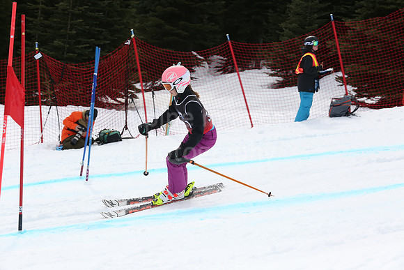NGF2019Saturday bibs 321+-138