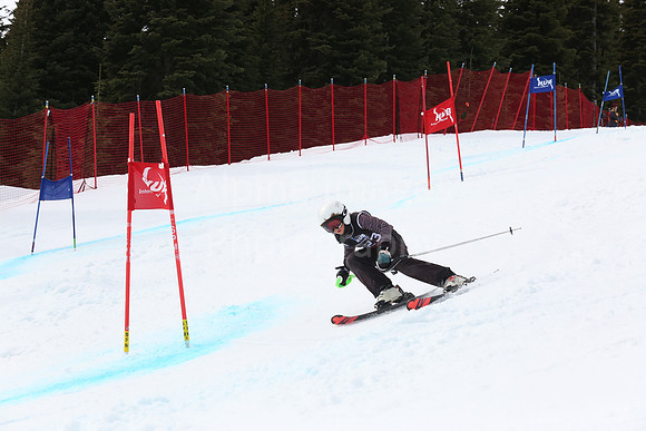 NGF2019Saturday bibs 321+-149