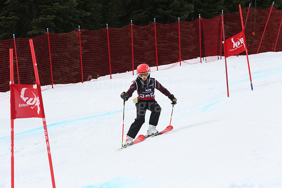 NGF2019Saturday bibs 321+-159