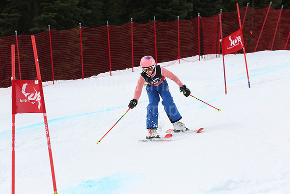 NGF2019Saturday bibs 321+-173
