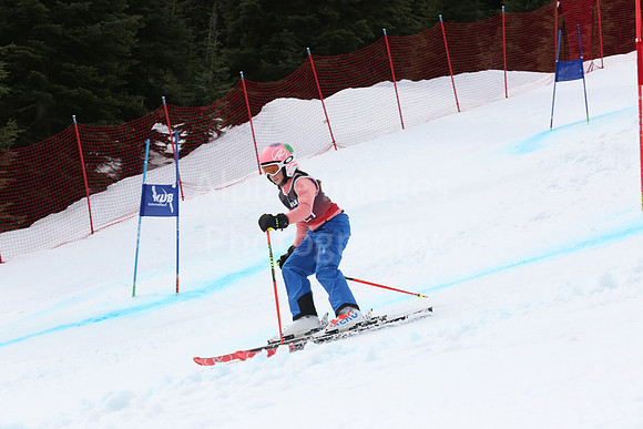 NGF2019Saturday bibs 321+-177