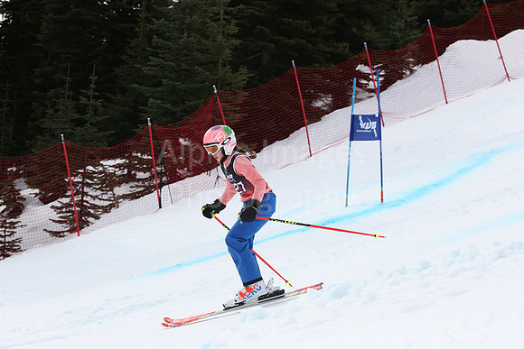 NGF2019Saturday bibs 321+-178