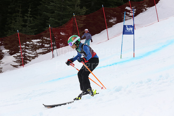 NGF2019Saturday bibs 321+-206