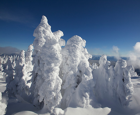 big snowghosts