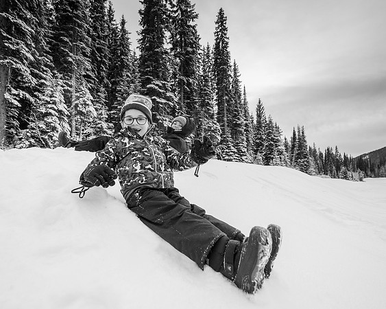 _DSC3501