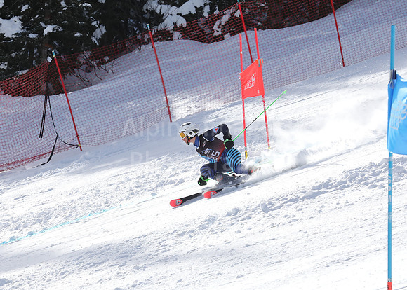 BC Champ Ski Boys-185