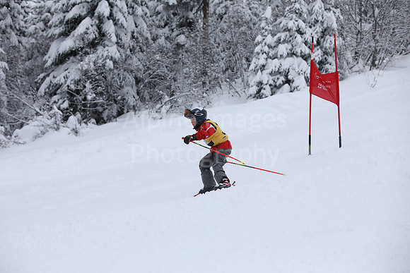 Family Cup 2020 2nd Run-52