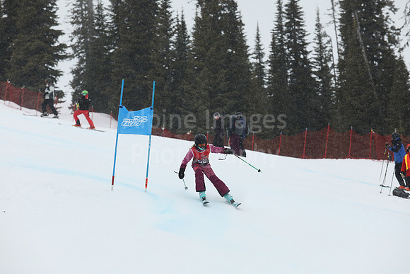 NGF 2022 Saturday Glalom Bibs 41-60-169