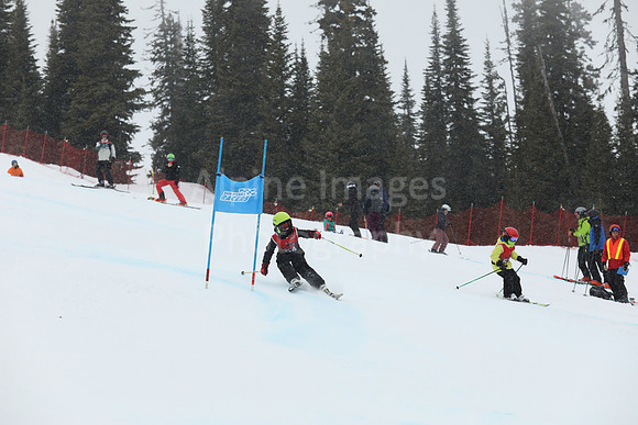 NGF 2022 Saturday Glalom Bibs 41-60-183
